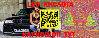 apvp Свободный