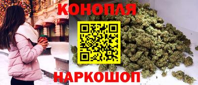 apvp Свободный