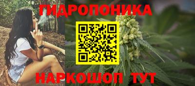 индика Севастополь