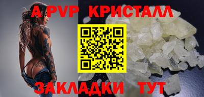apvp Свободный