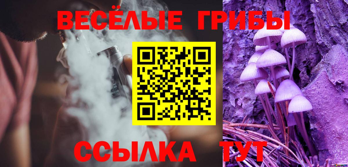Псилоцибиновые грибы мицелий Моздок